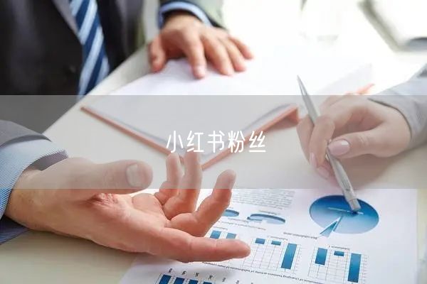小红书粉丝