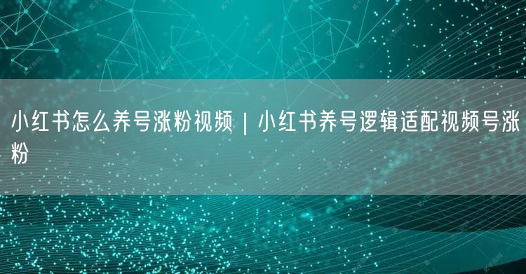 小红书养号涨粉实操：适配视频号，跨平台快速吸粉