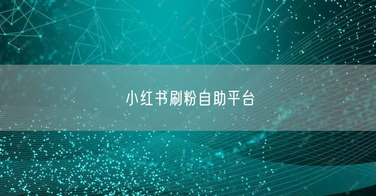 小红书刷粉自助平台