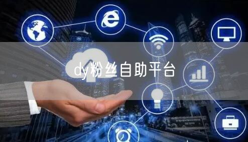 dy粉丝自助平台