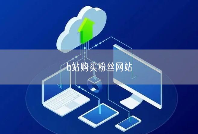 b站购买粉丝网站