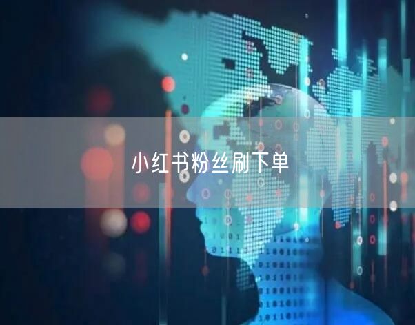 小红书粉丝刷下单