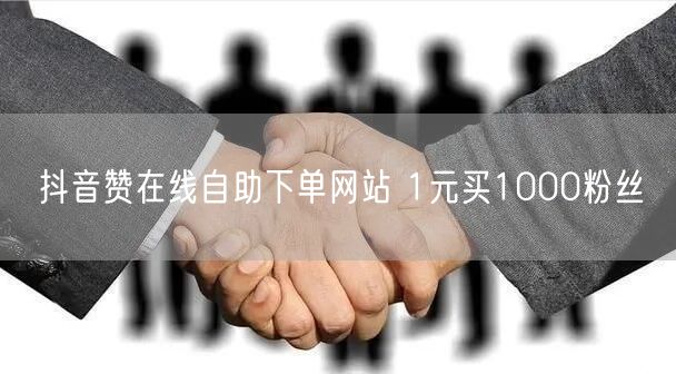 抖音赞在线自助下单网站 1元买1000粉丝