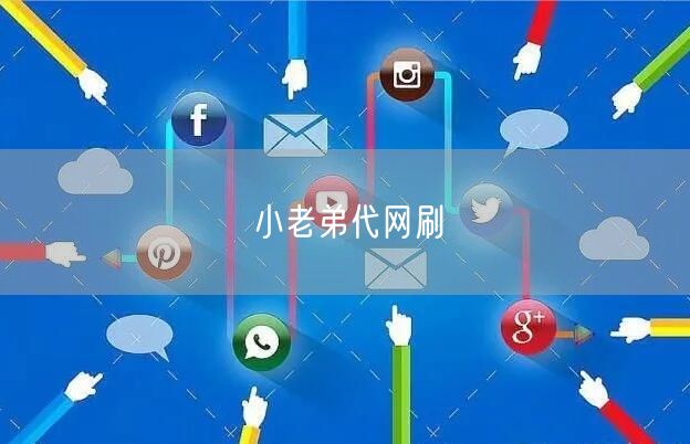 小老弟代网刷