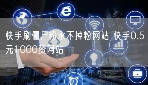 快手刷僵尸粉永不掉粉网站 快手0.5元1000赞网站