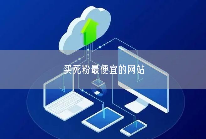 买死粉最便宜的网站