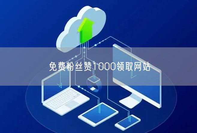 免费粉丝赞1000领取网站