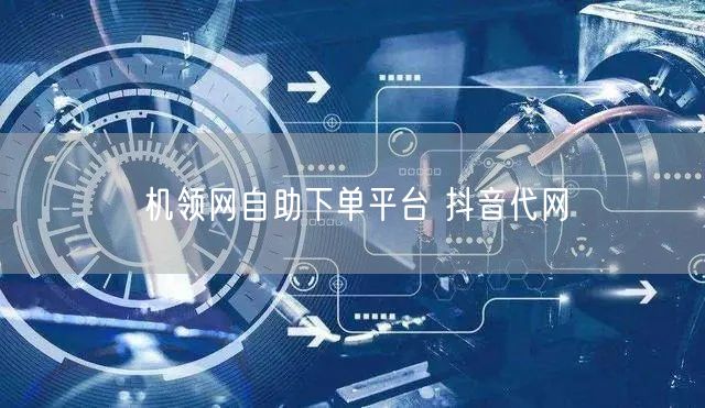 机领网自助下单平台 抖音代网
