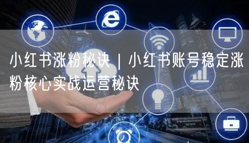 小红书涨粉秘诀｜小红书账号稳定涨粉核心实战运营秘诀