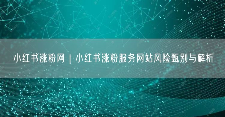 小红书涨粉网｜小红书涨粉服务网站风险甄别与解析